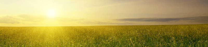 Sunshine over field and blue sky