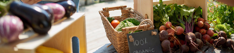 Merchant at farmers market taking payment